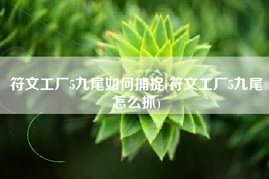 符文工厂5九尾如何捕捉(符文工厂5九尾怎么抓)