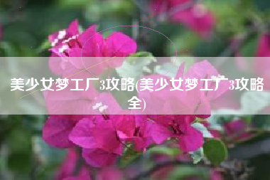 美少女梦工厂3攻略(美少女梦工厂3攻略全)