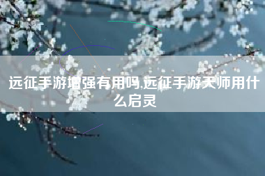 远征手游增强有用吗,远征手游天师用什么启灵