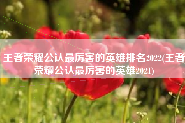 王者荣耀公认最厉害的英雄排名2022(王者荣耀公认最厉害的英雄2021)