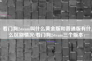 看门狗2steam叫什么黄金版和普通版有什么区别情况(看门狗2steam三个版本)