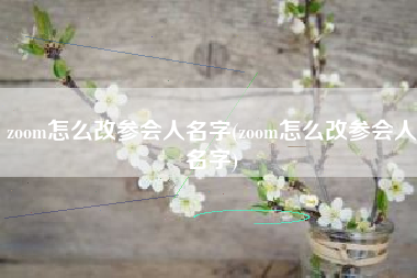 zoom怎么改参会人名字(zoom怎么改参会人名字)