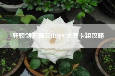 轩辕剑龙舞云山NPC大宾卡组攻略