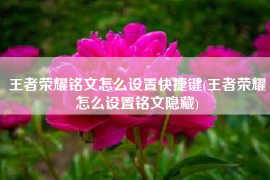 王者荣耀铭文怎么设置快捷键(王者荣耀怎么设置铭文隐藏)