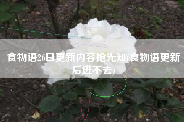 食物语26日更新内容抢先知(食物语更新后进不去)