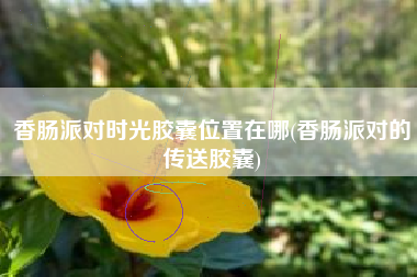 香肠派对时光胶囊位置在哪(香肠派对的传送胶囊)
