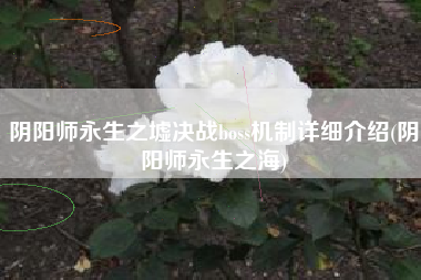 阴阳师永生之墟决战boss机制详细介绍(阴阳师永生之海)
