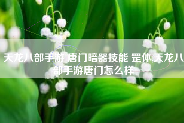 天龙八部手游 唐门暗器技能 罡体,天龙八部手游唐门怎么样