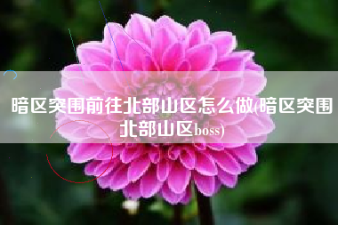 暗区突围前往北部山区怎么做(暗区突围北部山区boss)