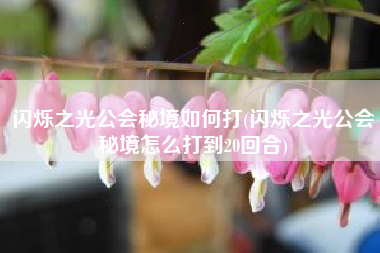 闪烁之光公会秘境如何打(闪烁之光公会秘境怎么打到20回合)