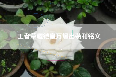 王者荣耀铠皇万爆出装和铭文