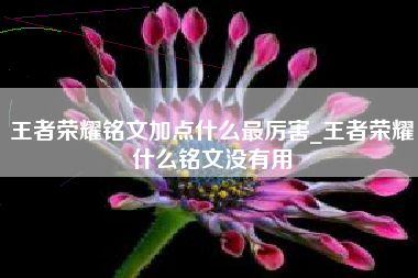 王者荣耀铭文加点什么最厉害_王者荣耀什么铭文没有用