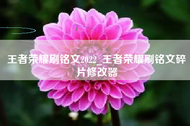 王者荣耀刷铭文2022_王者荣耀刷铭文碎片修改器