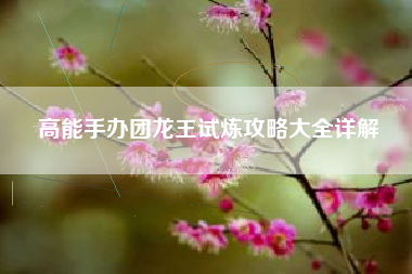 高能手办团龙王试炼攻略大全详解