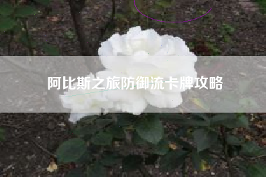 阿比斯之旅防御流卡牌攻略