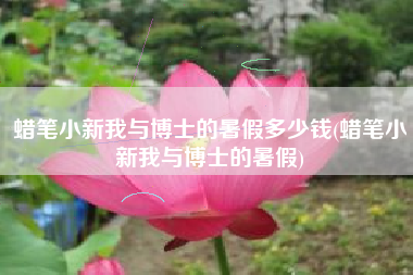 蜡笔小新我与博士的暑假多少钱(蜡笔小新我与博士的暑假)