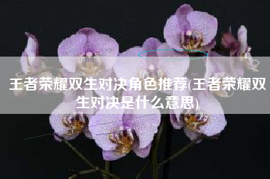 王者荣耀双生对决角色推荐(王者荣耀双生对决是什么意思)