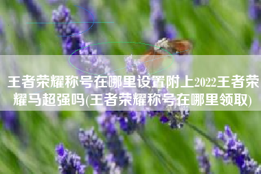 王者荣耀称号在哪里设置附上2022王者荣耀马超强吗(王者荣耀称号在哪里领取)