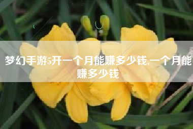 梦幻手游5开一个月能赚多少钱,一个月能赚多少钱