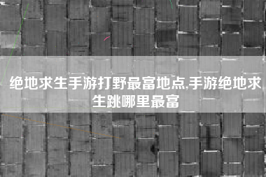 绝地求生手游打野最富地点,手游绝地求生跳哪里最富