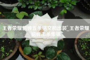 王者荣耀貂蝉五杀铭文和出装_王者荣耀貂蝉击杀集锦