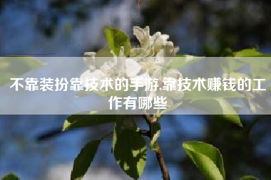 不靠装扮靠技术的手游,靠技术赚钱的工作有哪些