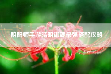 阴阳师手游晴明御魂最强搭配攻略