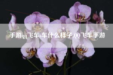 手游qq飞车s车什么样子,QQ飞车手游