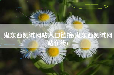 鬼东西测试网站入口链接(鬼东西测试网站在线)