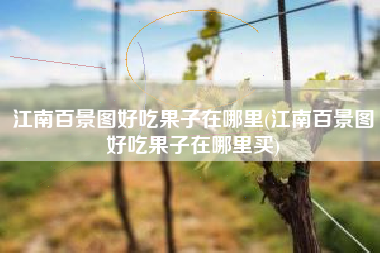 江南百景图好吃果子在哪里(江南百景图好吃果子在哪里买)