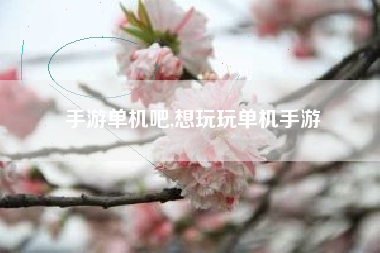 手游单机吧,想玩玩单机手游