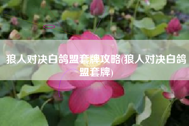 狼人对决白鸽盟套牌攻略(狼人对决白鸽盟套牌)