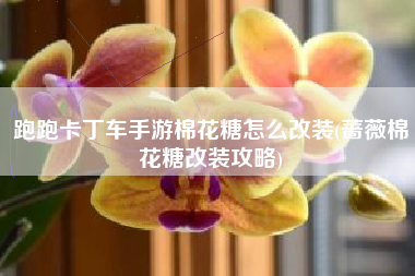 跑跑卡丁车手游棉花糖怎么改装(蔷薇棉花糖改装攻略)