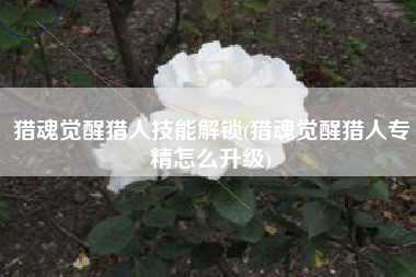 猎魂觉醒猎人技能解锁(猎魂觉醒猎人专精怎么升级)