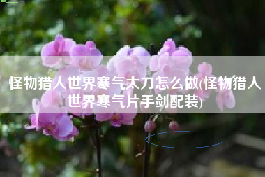 怪物猎人世界寒气太刀怎么做(怪物猎人世界寒气片手剑配装)