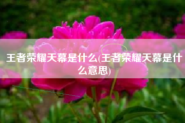 王者荣耀天幕是什么(王者荣耀天幕是什么意思)