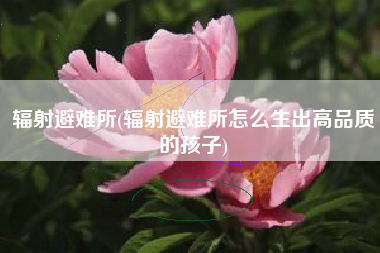 辐射避难所(辐射避难所怎么生出高品质的孩子)