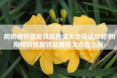 阴阳师妖怪屋铁鼠抽奖大会玩法攻略(阴阳师妖怪屋铁鼠抽奖大会怎么玩)