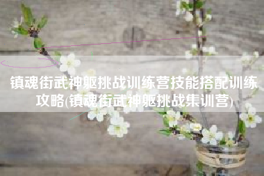 镇魂街武神躯挑战训练营技能搭配训练攻略(镇魂街武神躯挑战集训营)