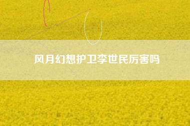风月幻想护卫李世民厉害吗