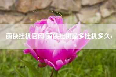 萌侠挂机官网(萌侠挂机最多挂机多久)
