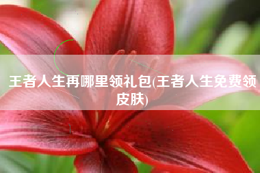 王者人生再哪里领礼包(王者人生免费领皮肤)