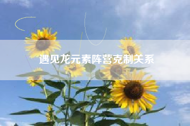 遇见龙元素阵营克制关系