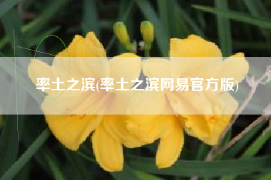 率土之滨(率土之滨网易官方版)