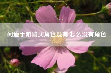 问道手游购买角色没有,怎么没有角色