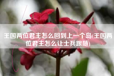 王国两位君主怎么回到上一个岛(王国两位君主怎么让士兵跟随)