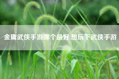 金庸武侠手游哪个最好,想玩下武侠手游