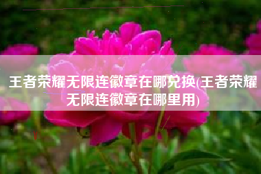 王者荣耀无限连徽章在哪兑换(王者荣耀无限连徽章在哪里用)