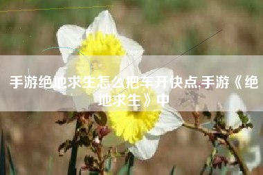 手游绝地求生怎么把车开快点,手游《绝地求生》中