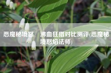 恶魔秘境怒鸮沸血狂猎对比测评(恶魔秘境怒焰法师)